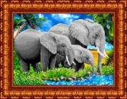 Слоны ("Каролинка")