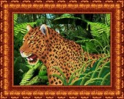 Леопард ("Каролинка")
